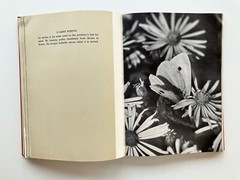 Vintage 1938 1st Edition This Is Living Nature Photography Book Peattie Aymar