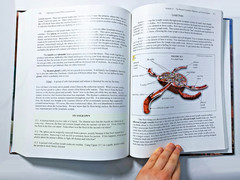 Exploring Creation With General Science Book And Solutions & Tests VERY GOOD
