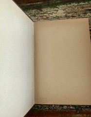 1910s Antique German Fairy Tale Book Die Schwanen Jungfrau by Gustav Nieritz VG