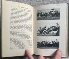 The Art of Riding book horses equestrian McTaggard hardcover 1932 3rd ed antique