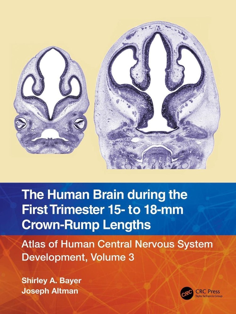 The Human Brain during the First Trimester 15- to 18-mm Crown-Rump Lengths: Atla