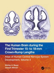 The Human Brain during the First Trimester 15- to 18-mm Crown-Rump Lengths: Atla