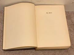 THE DEVIL VINTAGE 1928 OCCULT RELIGION BOOK BY ALFRED NEUMANN