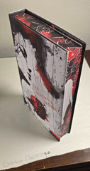 The Mindfuck Series By S.T. Abby Mystic Box Edition – Signed