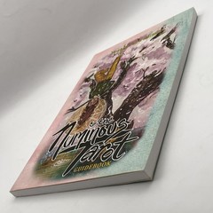 The Numinous Tarot Guidebook Noel Arthur Heimpel 2019 PB Book Only No Cards