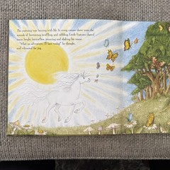 Little Lost Unicorn by Lorna Hussey (2009, Hardcover)
