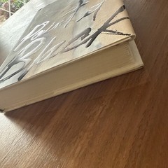 Janet Fitch Signed Paint It Black First Edition