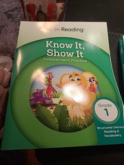 Set Of 2 HMH: Into Reading – Know It, Show It Independent Practice Grade 1 NEW