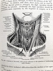 Practical Surgery For The General Practitioner, Senn, 1901, Illustrated, Good+