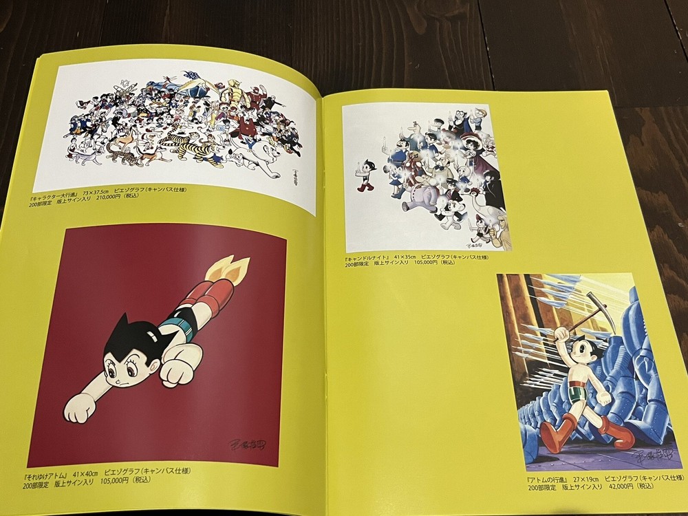 2013 NOT FOR SALE ART WORKS OF TEZUKA OSAMU JAPAN BOOK ART SPACE UNUSED