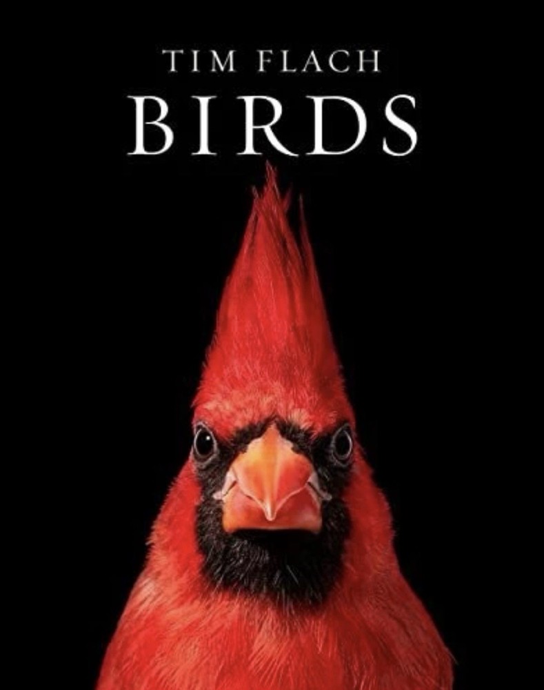 BIRDS by Tim Flach Hardcover Hardback Coffee Cocktail Table ART Photo Book