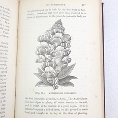 Hardy Florists’ Flowers: Their Cultivation & Management, James Douglas 1880 HC