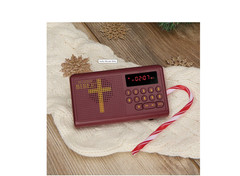 Wonder Bible KJV Talking Audio Bible Player New Version King James