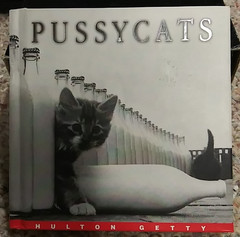 Pusstcats Gift Book By Hulton Getty 5.25″ X 5.25″