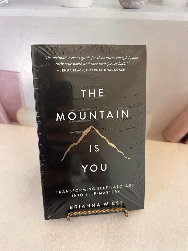 The Mountain is You Brand New