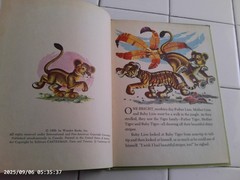 The Busy Baby Lion, A Wonder Book,1959(VINTAGE Children’s)