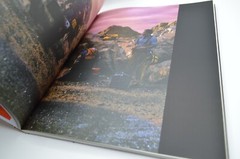 Bill Viola, Going Forth By Day, Guggenheim, Art Exhibition Catalog, 2002, HC/DJ