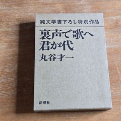 Shinchosha Saiichi Maruya Hardcover Japanese Novel Hardcover Book