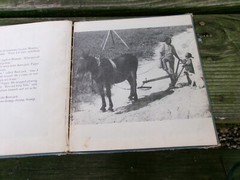 2 Children’s Book Pub. by Oxford University Press, FLOP-EARED HOUND/Real Photos
