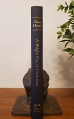 A Bright Ray of Darkness Ethan Hawke HC/DJ 1st Edition 1st Printing