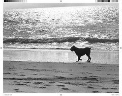Stephen Shames – Water Zine – 28 pages – 5.5 x 8.5 inches