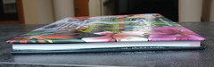 The Beauty of Oil Painting, Book 4 – Hardcover Gary and Kathwren Jenkins