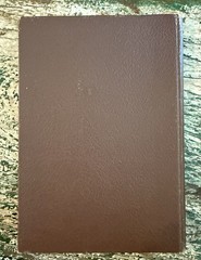 1910s Antique German Fairy Tale Book Die Schwanen Jungfrau by Gustav Nieritz VG