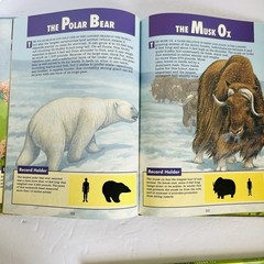 Lot 5 Elementary Nature Science Animal Kids Learning Books Hardcover Homeschool