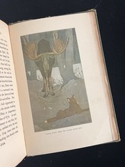 THE CALL OF THE WILD – Jack London – 1903 First (1st) Edition