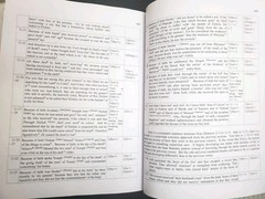 Hebrew Pages of the New Testament by Yoseph Viel & Parallel New Testament Ulrich