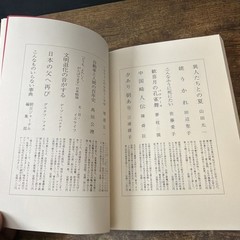 New Tokyo Hyakkei by Hitomi Yamaguchi (Paperback 1988) Japanese Novel Shinchosha