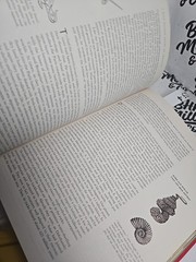 Life Nature Library EVOLUTION 1964 192 PAGES 11 x 8.5 INCHES