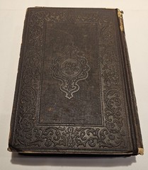1850 First Edition Lily and the Totem Simms Huguenots Florida Original Cloth