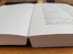 Japanese-English English-Japanese Dictionary, Seigo Nakao