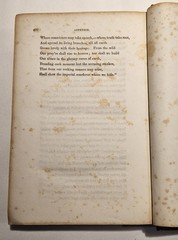 1850 First Edition Lily and the Totem Simms Huguenots Florida Original Cloth