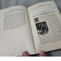 Sir Henry Morgan Buccaneer by Cyrus Townsend Brady Antique 1903 Pirate Novel