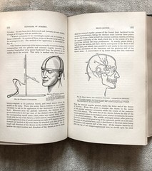 Antique, Principles Of Surgery, Nicholas Senn, 1891, 1st. Ed., Illustrated