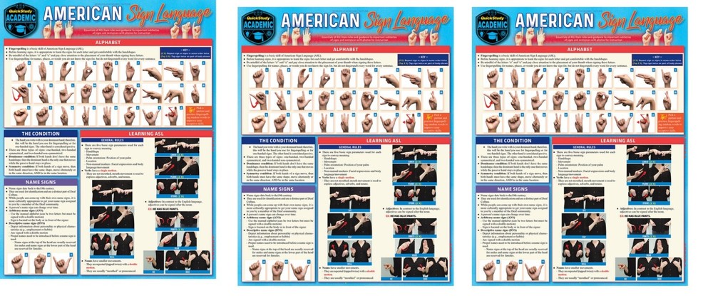 BarCharts Inc. American Sign Language 9781423238584 – Pack of 3
