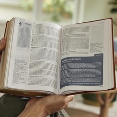 Life in Christ Bible: Discovering, Believing, and Rejoicing in Who God Says…