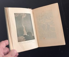 THE CALL OF THE WILD – Jack London – 1903 First (1st) Edition