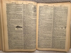 Vtg. Book Webster’s New Collegiate Dictionary 1959 Merriam-Webster 1,174 Pages