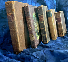 Tiny Antique Books; Miscellany, Plant World, Spectator, Columbian Orator #B46