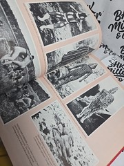 Life Nature Library EVOLUTION 1964 192 PAGES 11 x 8.5 INCHES