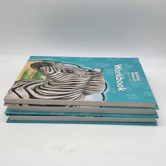 Reading Mastery Reading Literature Strand Grade 5 Textbook A/B and Workbook