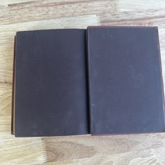 Palmetto-Leaves Harriet Beecher Stowe 1873 Illustrated James R. Osgood Florida