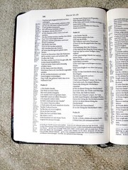 German Bible, Die Bibel, Schlachter 2000, Imitation Leather, Brown Black 2-toned