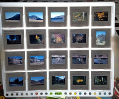 1000 Vintage Slides Nature Flower Mtns Trees Lakes 2 x 2 In 50 Holders 1960-1970