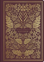ESV Illuminated Scripture Journal: Matthew – Paperback – VERY GOOD