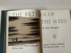 Return of the Weed. Paul Horgan. SIGNED! Ltd Edition #304/350 w/DJ & Slipcase