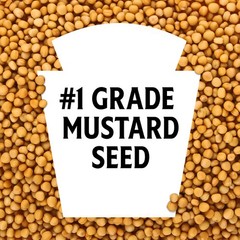 Heinz Yellow Mustard, 8 oz Bottle 8 Ounce (Pack of 1)